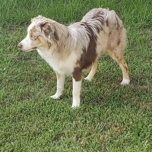 Meet your Posher, Cody